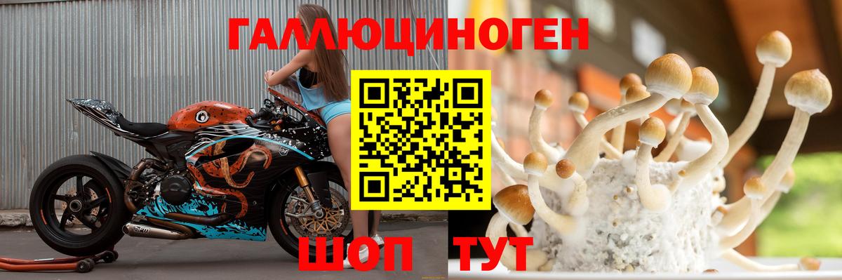 Малоярославец  Псилоцибиновые грибы прущие грибы  Вход с VPN 