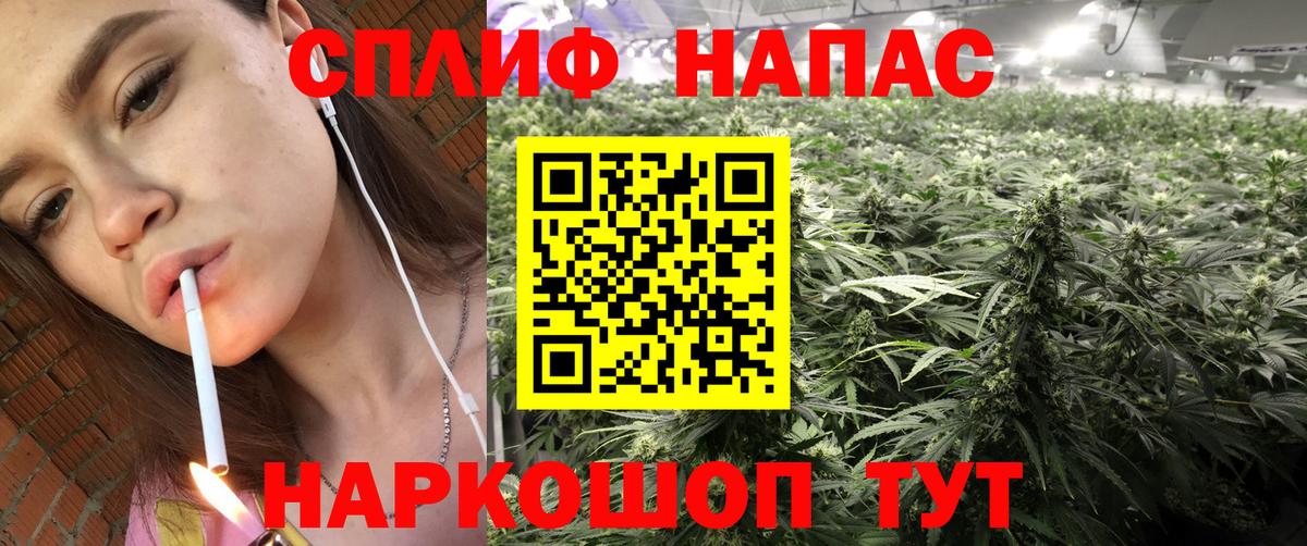 Шишки марихуана семена Малоярославец